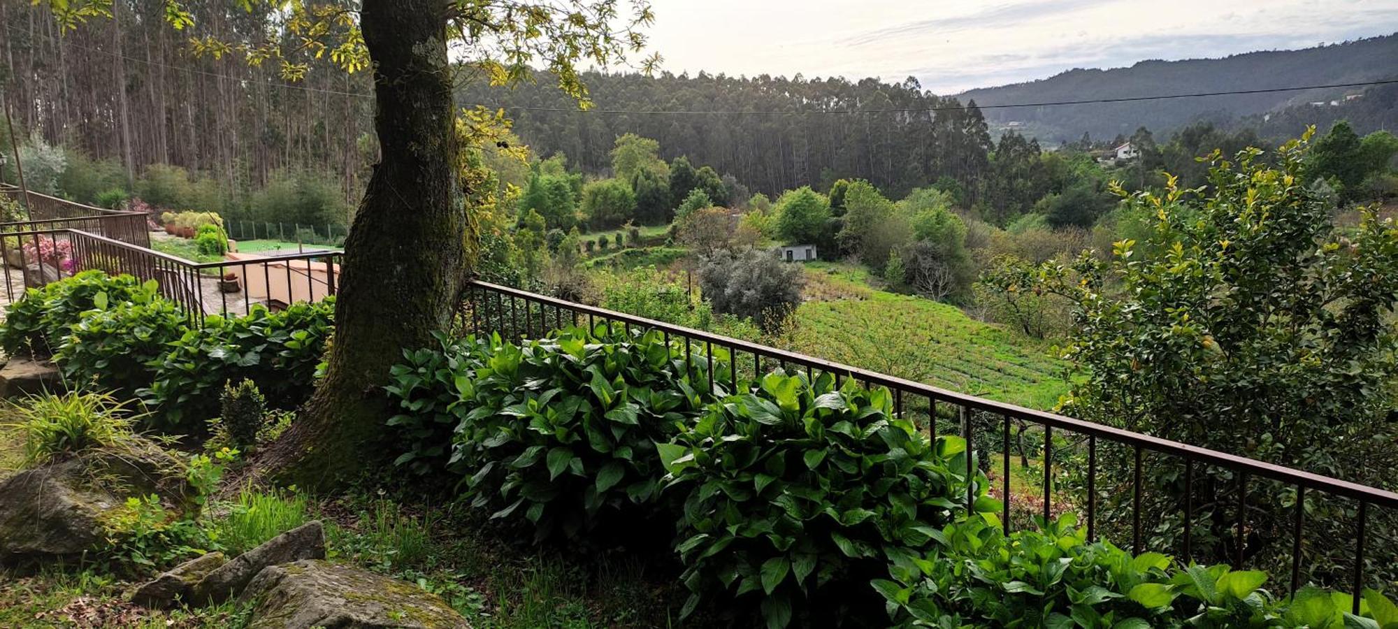 Quinta Da Costeira Villa Sever do Vouga Exterior photo